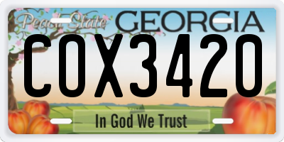 GA license plate COX3420