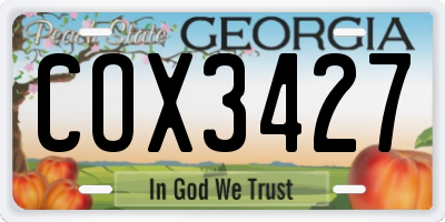GA license plate COX3427