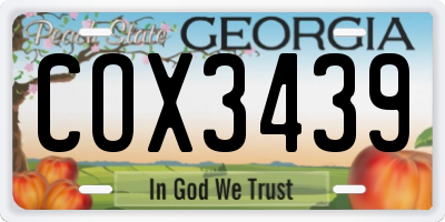 GA license plate COX3439