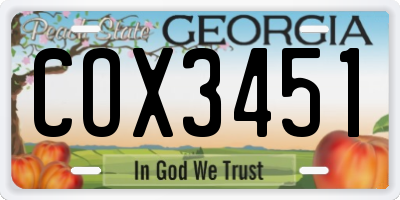 GA license plate COX3451