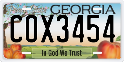 GA license plate COX3454