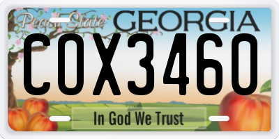 GA license plate COX3460
