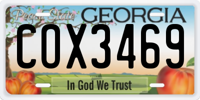 GA license plate COX3469