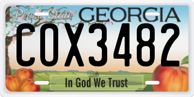GA license plate COX3482