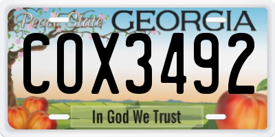 GA license plate COX3492