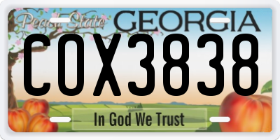 GA license plate COX3838