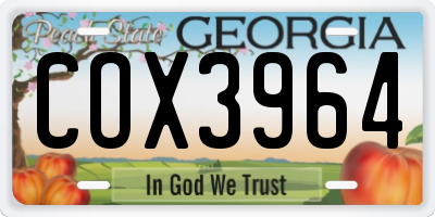 GA license plate COX3964