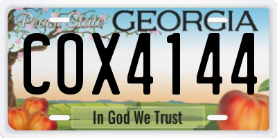 GA license plate COX4144