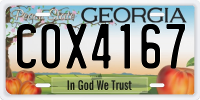 GA license plate COX4167