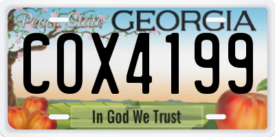 GA license plate COX4199