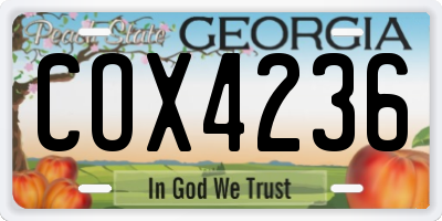 GA license plate COX4236
