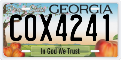 GA license plate COX4241