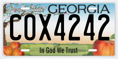 GA license plate COX4242