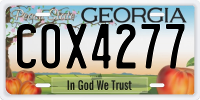 GA license plate COX4277