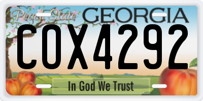 GA license plate COX4292