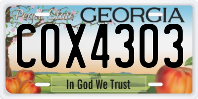 GA license plate COX4303