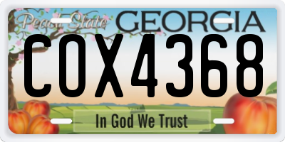 GA license plate COX4368