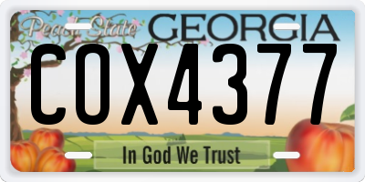 GA license plate COX4377
