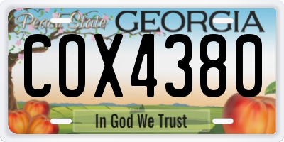 GA license plate COX4380