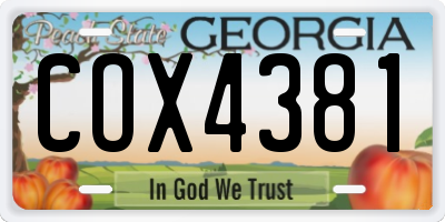 GA license plate COX4381