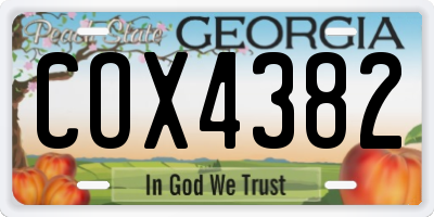 GA license plate COX4382