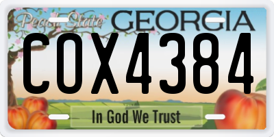 GA license plate COX4384