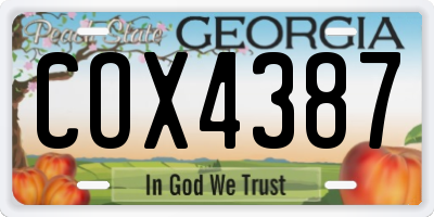 GA license plate COX4387