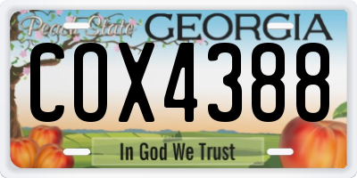 GA license plate COX4388