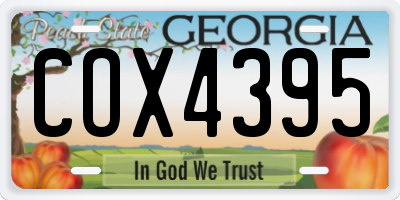 GA license plate COX4395