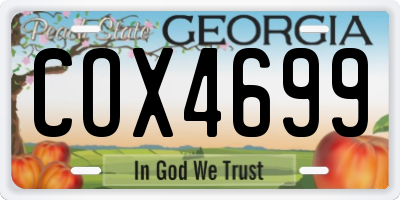 GA license plate COX4699