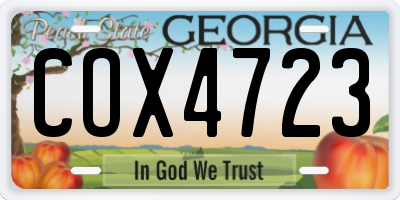 GA license plate COX4723
