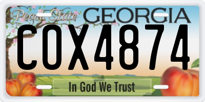 GA license plate COX4874
