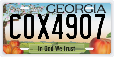 GA license plate COX4907