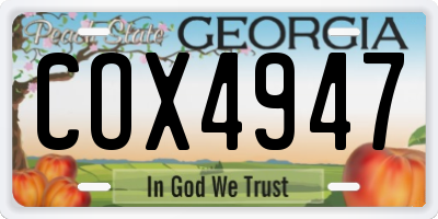 GA license plate COX4947