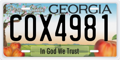 GA license plate COX4981