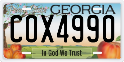 GA license plate COX4990