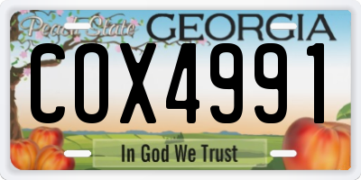 GA license plate COX4991