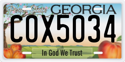 GA license plate COX5034
