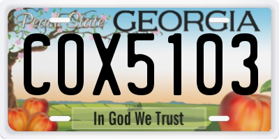 GA license plate COX5103