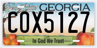 GA license plate COX5127
