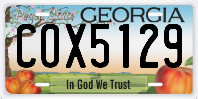GA license plate COX5129