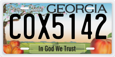 GA license plate COX5142