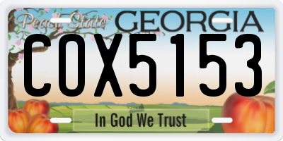 GA license plate COX5153