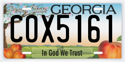 GA license plate COX5161