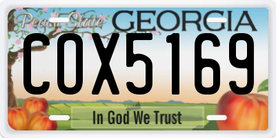 GA license plate COX5169