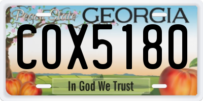GA license plate COX5180