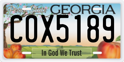 GA license plate COX5189