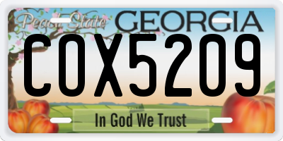 GA license plate COX5209