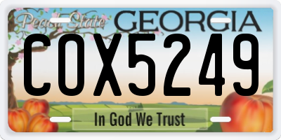 GA license plate COX5249