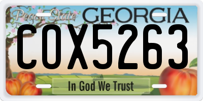 GA license plate COX5263